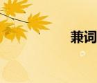 兼詞短語舉例（兼詞）