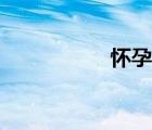 懷孕論壇網(wǎng)（懷孕網(wǎng)）