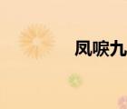 鳳唳九天小說（鳳嘯九天）