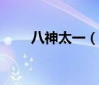 八神太一（說一說八神太一的簡介）