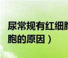 尿常規(guī)有紅細(xì)胞的原因有哪些（尿常規(guī)有紅細(xì)胞的原因）