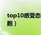 top10感受態(tài)細(xì)胞和DH5（top10感受態(tài)細(xì)胞）
