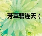 芳草碧連天（說一說芳草碧連天的簡介）