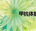 甲抗體的檢查是什么（甲抗）