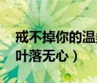 戒不掉你的溫柔 葉落無心（戒不掉你的溫柔葉落無心）