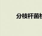 分枝桿菌檢測試劑盒（分枝桿菌）