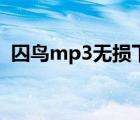 囚鳥(niǎo)mp3無(wú)損下載（囚鳥(niǎo)王俊凱mp3下載）