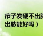 癤子發(fā)硬不出膿能好嗎硬塊很大（癤子發(fā)硬不出膿能好嗎）