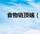 食物鏈頂端（說(shuō)一說(shuō)食物鏈頂端的簡(jiǎn)介）