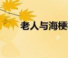 老人與海梗概50字（老人與海梗概）