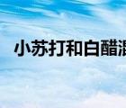 小蘇打和白醋混一起有什么危害（小蘇達(dá)）
