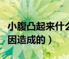小腹凸起來什么原因造成的（小腹凸起什么原因造成的）