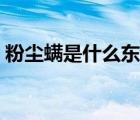 粉塵螨是什么東西怎么去除（粉塵螨是什么）