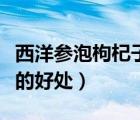 西洋參泡枸杞子的功效與作用（西洋參泡枸杞的好處）