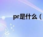 pr是什么（說(shuō)一說(shuō)pr是什么的簡(jiǎn)介）