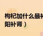 枸杞加什么最補(bǔ)腎壯陽泡水喝（枸杞加什么壯陽補(bǔ)腎）