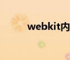 webkit內(nèi)核下載（webkit內(nèi)核）