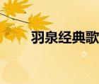 羽泉經(jīng)典歌曲大全（羽泉歌曲大全）