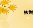 核燃料加工（核燃料）