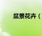 盆景花卉（說一說盆景花卉的簡介）