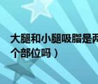 大腿和小腿吸脂是兩個部位嗎多少錢（大腿和小腿吸脂是兩個部位嗎）