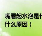 嘴唇起水泡是什么原因?qū)е碌模ㄗ齑狡鹚菔鞘裁丛颍?/>
                                    </a>
                                                </div>
                                    <div   id=