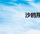 沙鷗翔集的集是什么意思
