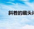 斜著的藏頭詩表白（斜著愛情藏頭詩）