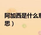 阿加西是什么意思網(wǎng)絡(luò)用語（阿加西是什么意思）