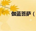 伽藍(lán)菩薩（說一說伽藍(lán)菩薩的簡介）