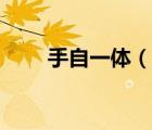 手自一體（說一說手自一體的簡介）
