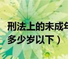 刑法上的未成年是指多少歲以下（未成年是指多少歲以下）