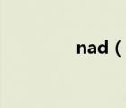 nad（說一說nad的簡介）