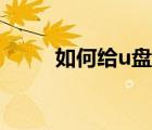 如何給u盤殺毒（怎樣給u盤殺毒）