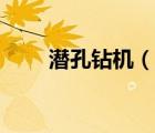 潛孔鉆機(jī)（說一說潛孔鉆機(jī)的簡介）