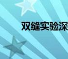 雙縫實驗深度解析視頻（雙縫實驗）