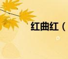 紅曲紅（說一說紅曲紅的簡介）