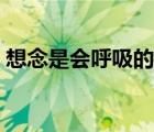 想念是會(huì)呼吸的痛伴奏（想念是會(huì)呼吸的痛）