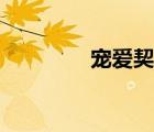 寵愛契約小說（契約床寵）