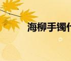 海柳手鐲什么顏色最貴的（海柳）