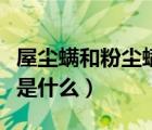屋塵螨和粉塵螨是什么意思（屋塵螨和粉塵螨是什么）