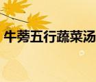 牛蒡五行蔬菜湯的功效（五行蔬菜湯的功效）