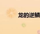 龍的逆鱗長(zhǎng)在哪里（龍的逆鱗）