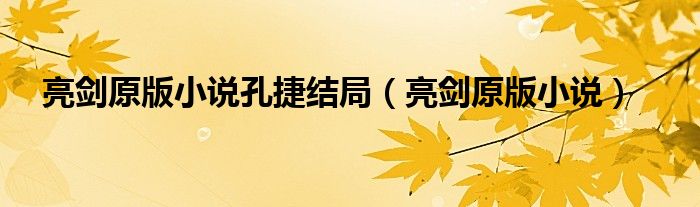 亮劍原版小說孔捷結局（亮劍原版小說）