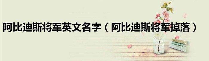 阿比迪斯將軍英文名字（阿比迪斯將軍掉落）
