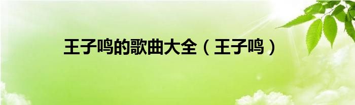 王子鳴的歌曲大全（王子鳴）