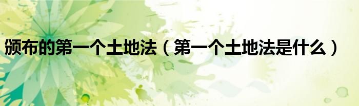 頒布的第一個土地法（第一個土地法是什么）