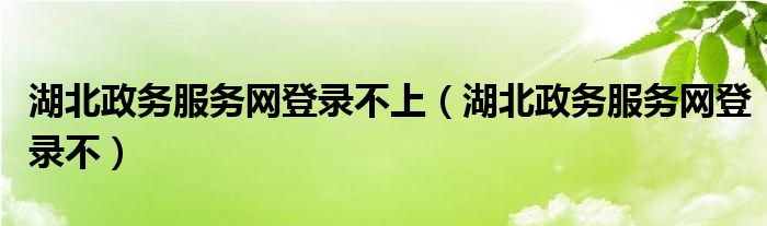 湖北政務(wù)服務(wù)網(wǎng)登錄不上（湖北政務(wù)服務(wù)網(wǎng)登錄不）
