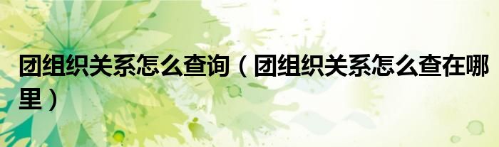 團組織關系怎么查詢（團組織關系怎么查在哪里）