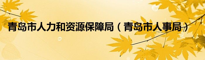 青島市人力和資源保障局（青島市人事局）
